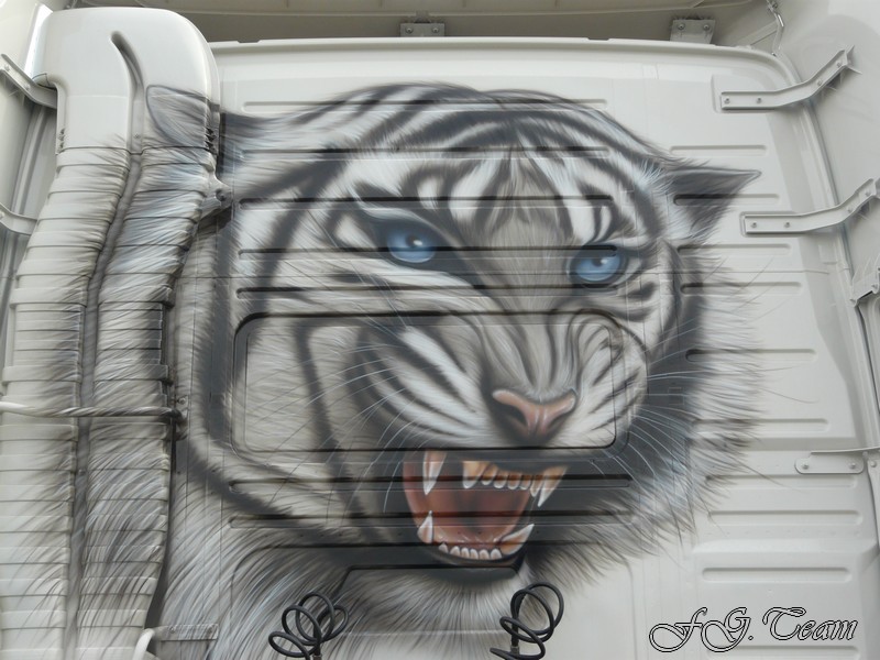 Allienne Tiger Truck (6).JPG